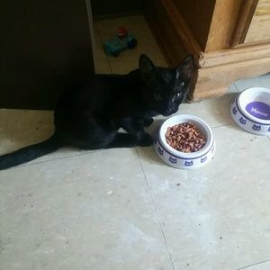 Meet your Posher, Ta