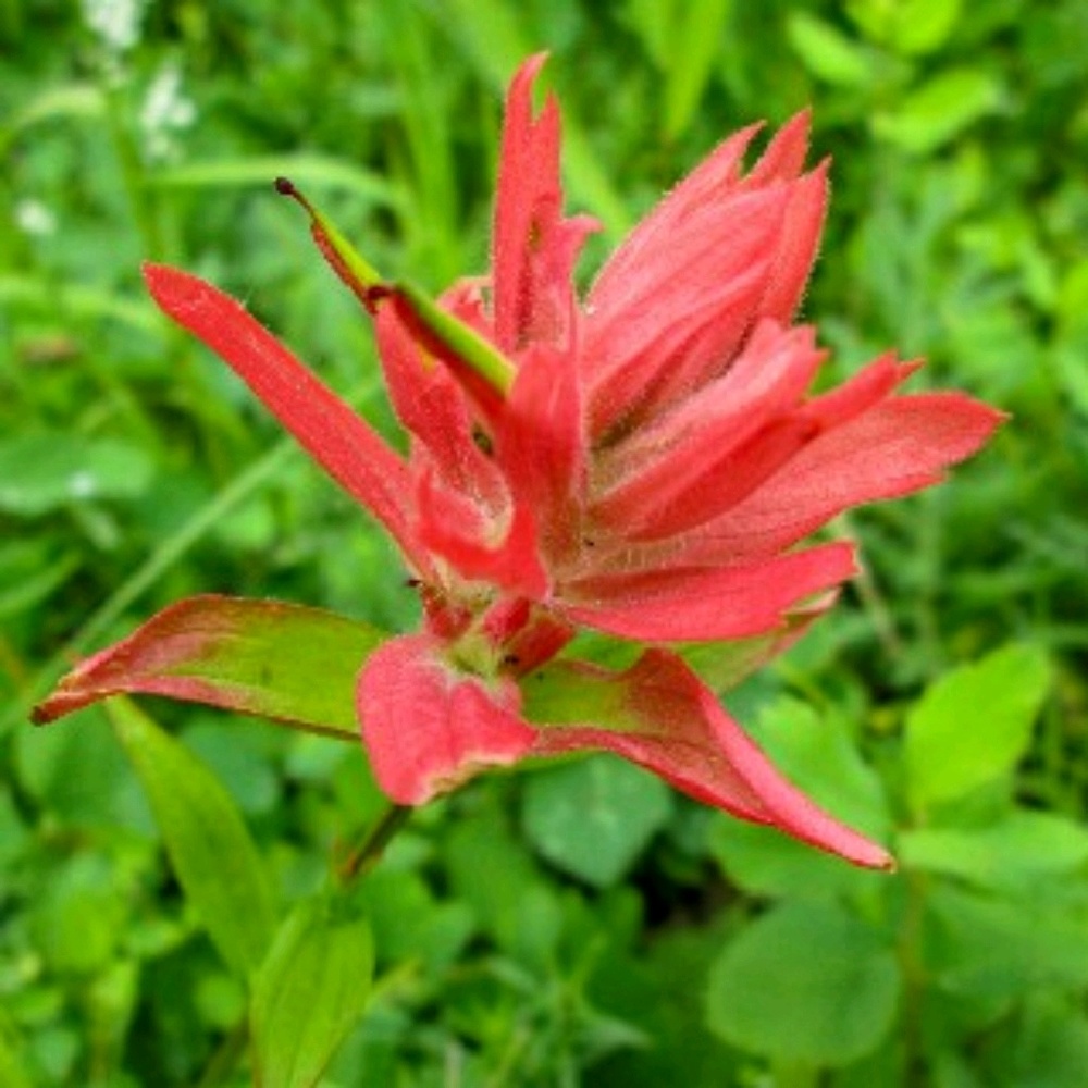 Meet your Posher, Jillian