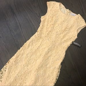NWT New York & Co Light Yellow Lace Dress