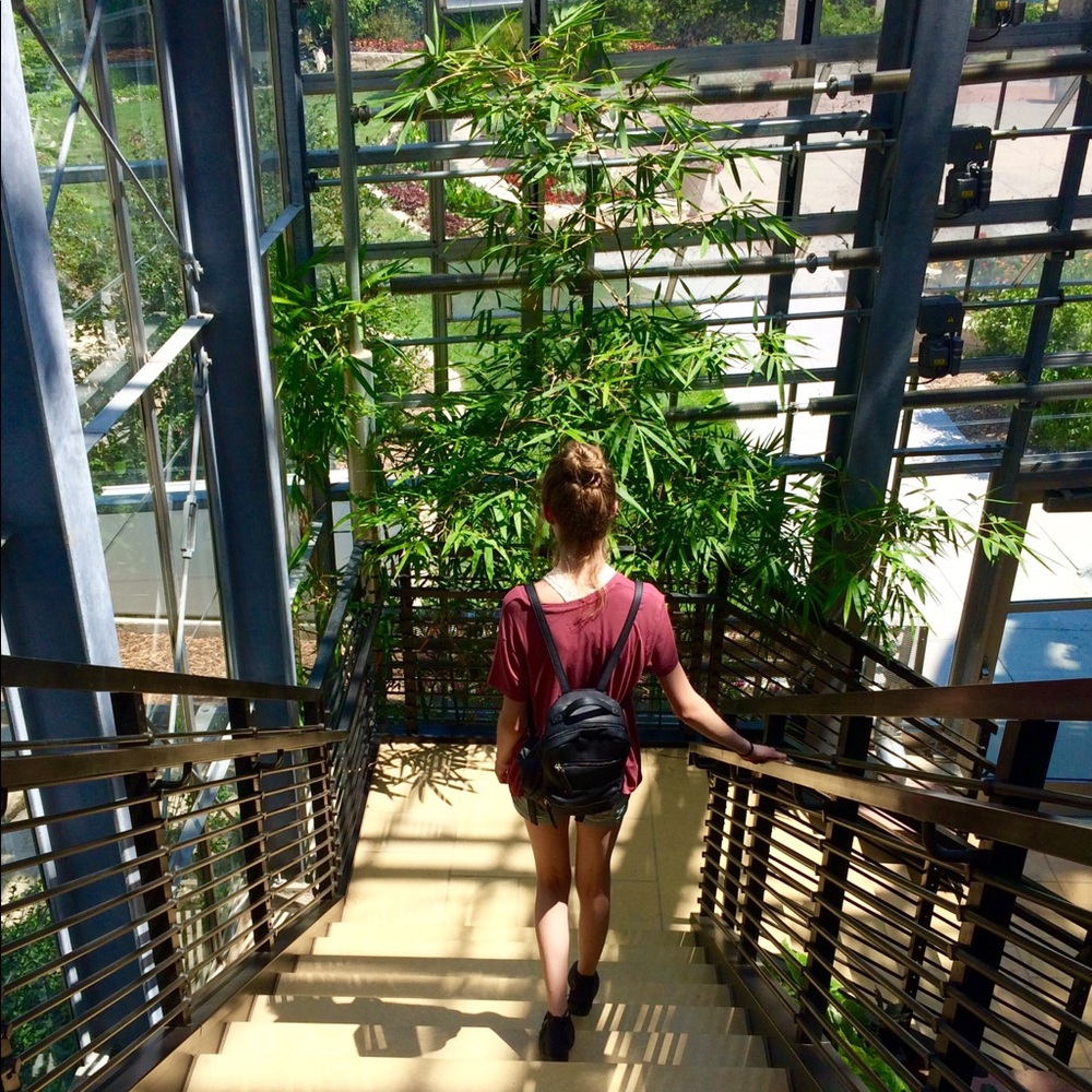 Meet your Posher, Rachel