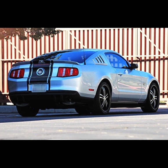 Meet your Posher, Alec - Picture 1 of 1