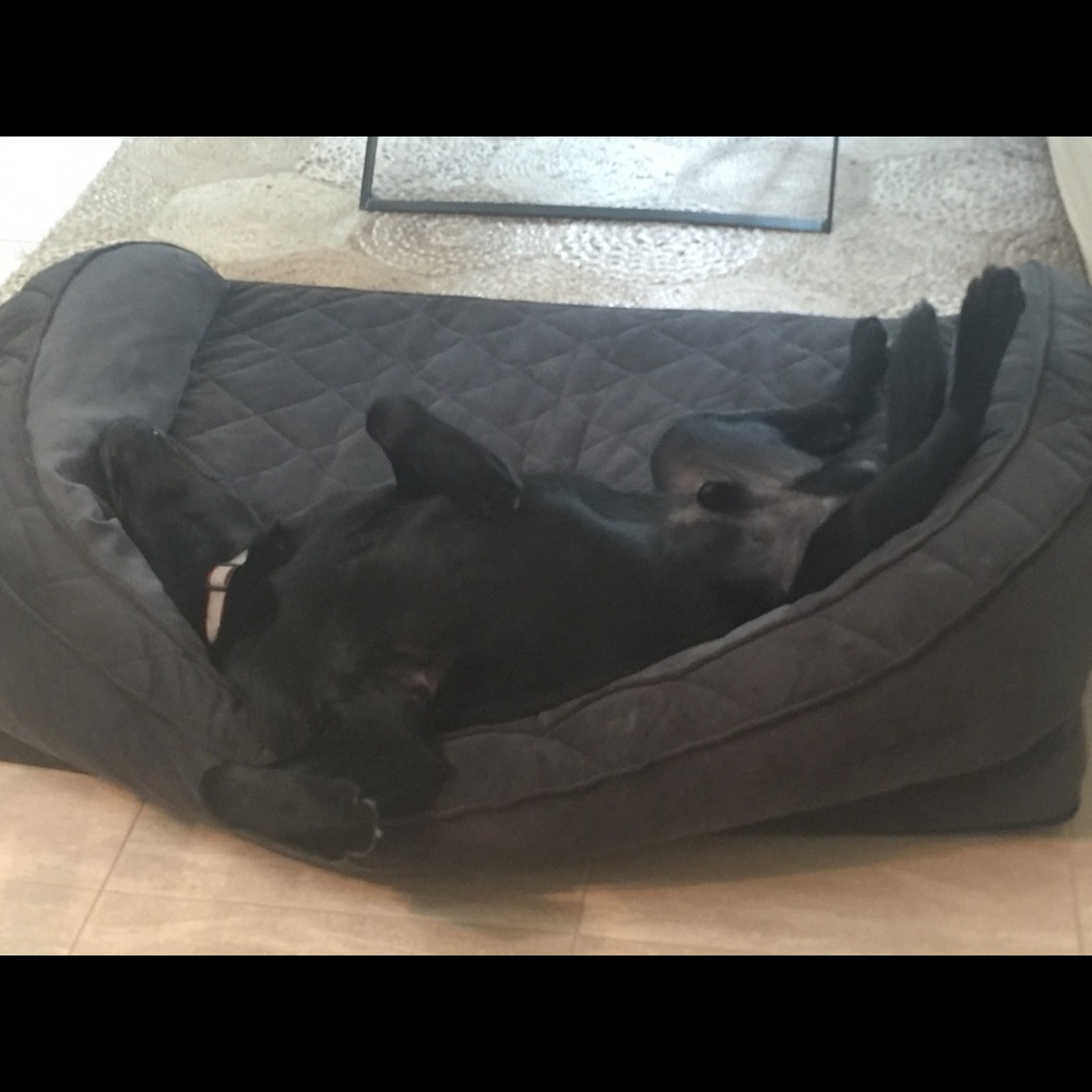 Meet your Posher, Maria