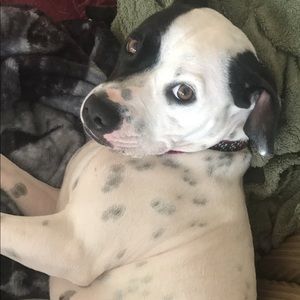 Meet your Posher, Cameron