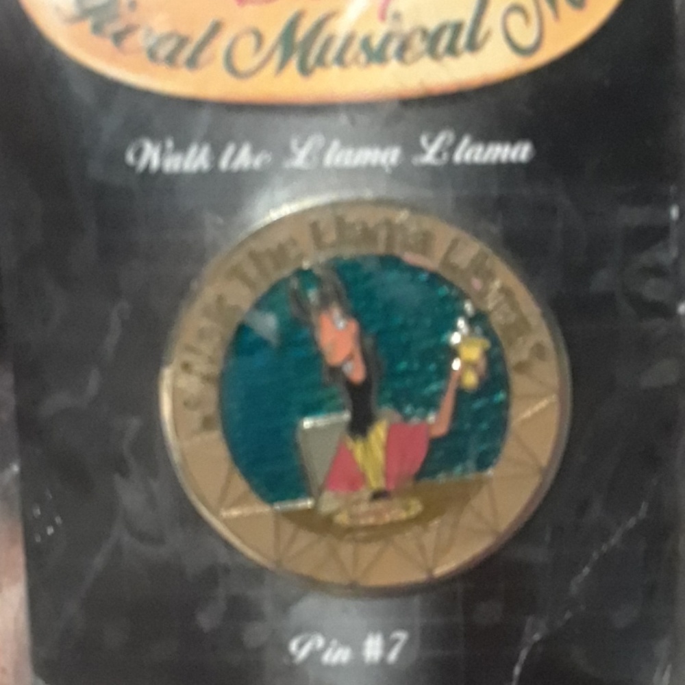 Magical Musical moments pins#7