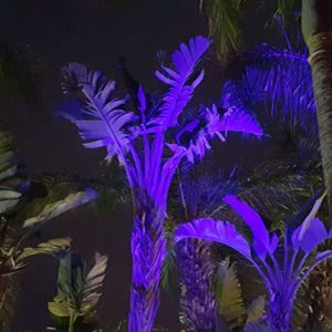 Meet your Posher, Serena