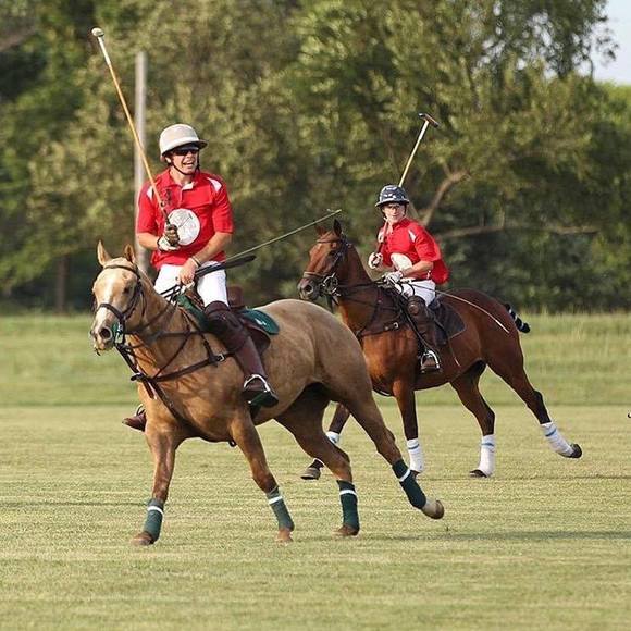 Meet your Posher, James - Picture 1 of 1