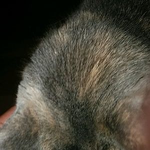 Meet your Posher, Zach