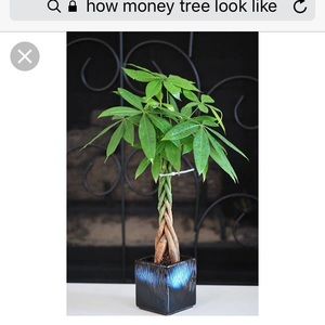 Meet your Posher, Sokha