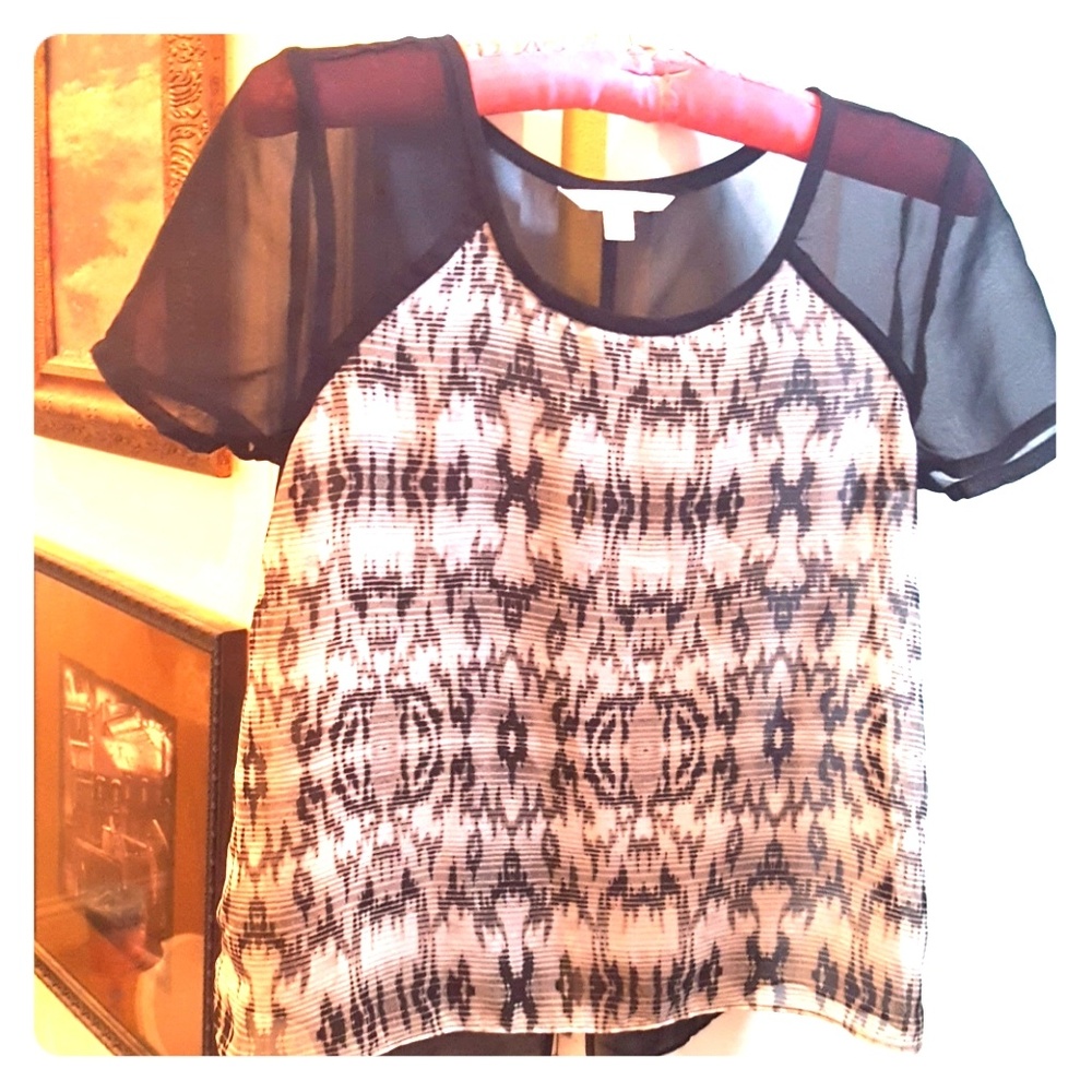 Fashionable sheer blouse