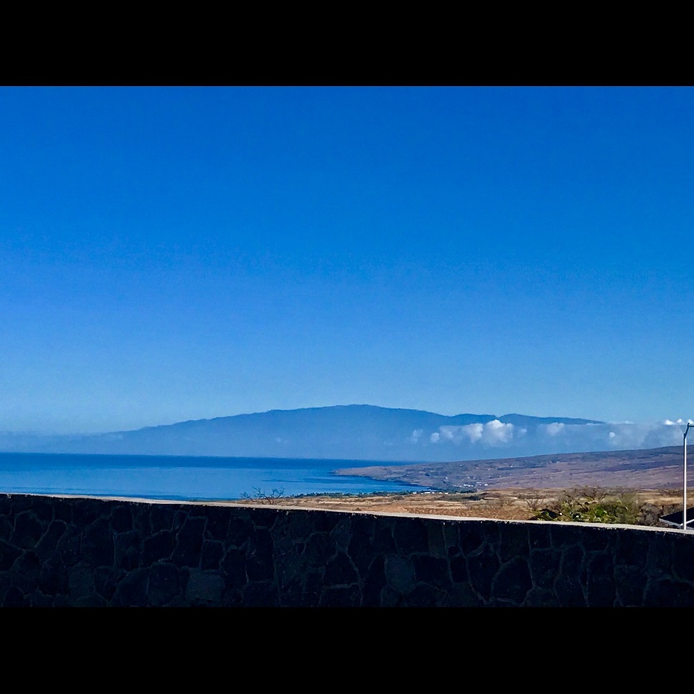 Meet your Posher, Lana