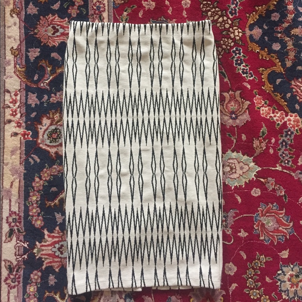 Zara Bodycon Midi Skirt