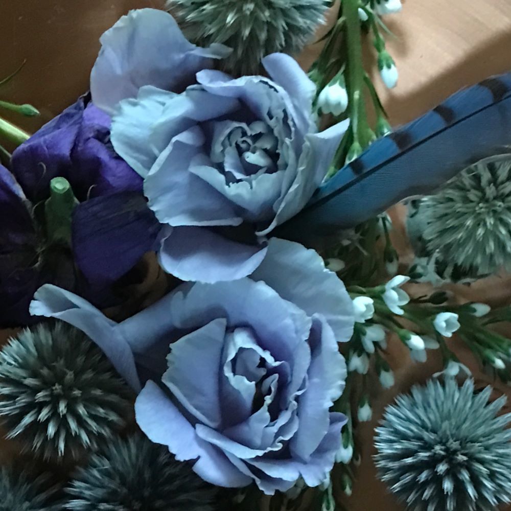Meet your Posher, Rosemary