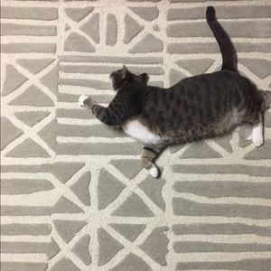 Meet your Posher, Erin