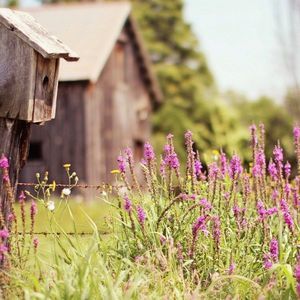 Meet your Posher, Bridget