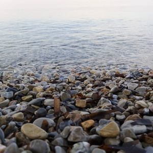 Meet your Posher, Filippo