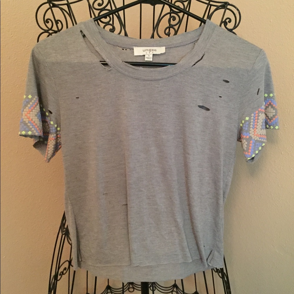Destroyed crop top