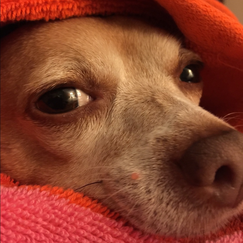 Meet your Posher, Lori