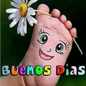 Meet your Posher, Daylina