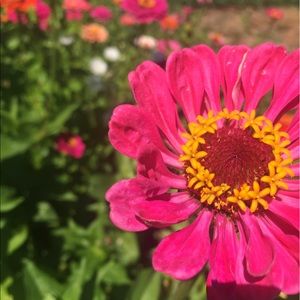 Meet your Posher, Jackie