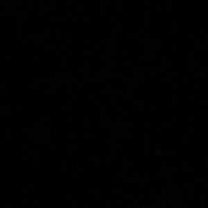 Meet your Posher, Young