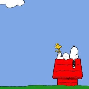 Meet your Posher, Malachi