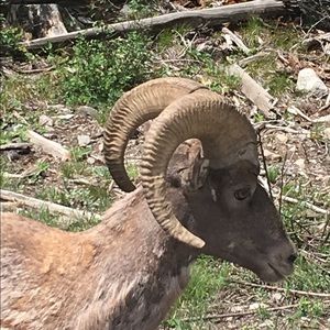 Meet your Posher, Nevaida