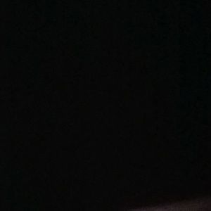 Meet your Posher, Roy