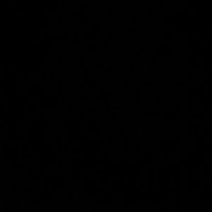 Meet your Posher, Laurynn