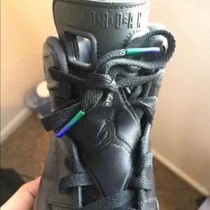 Nike Air Jordan Retro 6 Allstars/ Chameleons