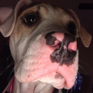 Meet your Posher, Daniela