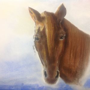 Meet your Posher, Teresa