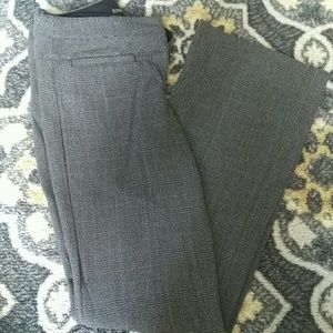 Express Editor Bootcut Pants
