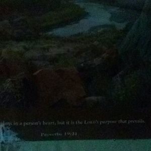 Meet your Posher, Freida