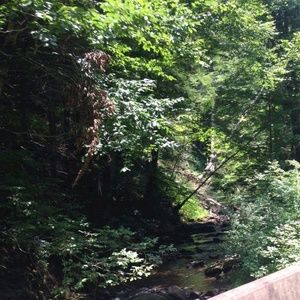 Meet your Posher, Lanee