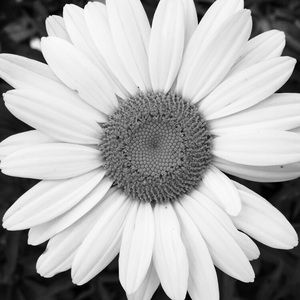 Meet your Posher, Alisha