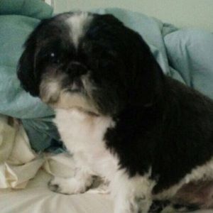 Meet your Posher, Maria