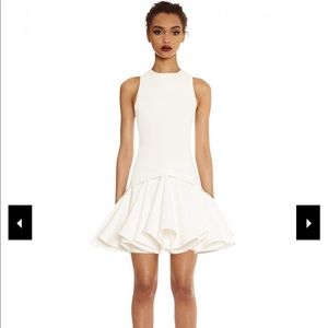 Drop Waist Mini Dress