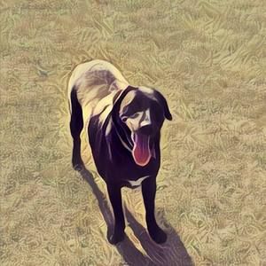 Meet your Posher, Garrett