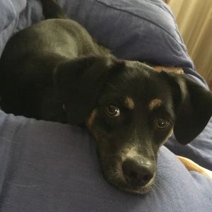 Meet your Posher, Katlyn