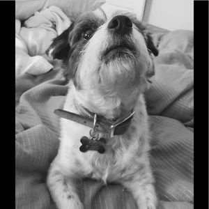 Meet your Posher, Valentina