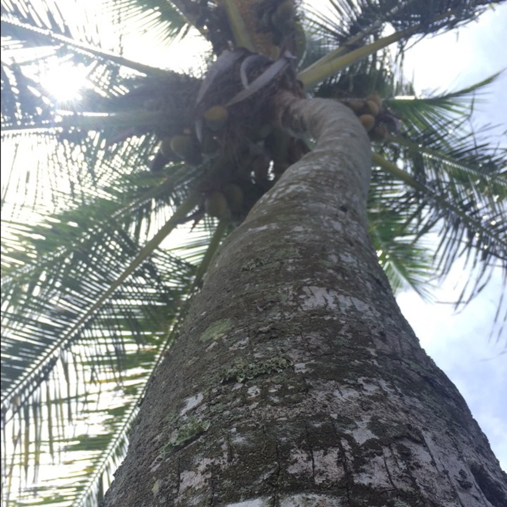 Meet your Posher, Zahra