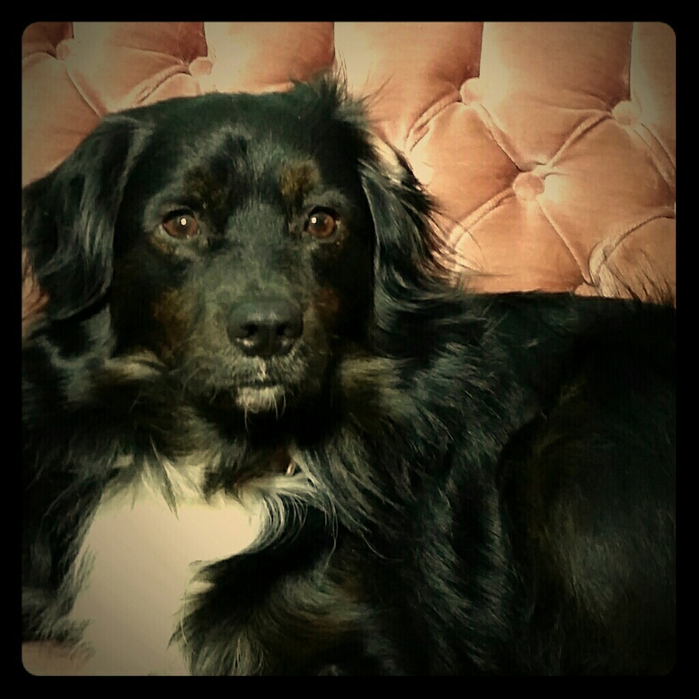 Don't Worry; Be Happy!