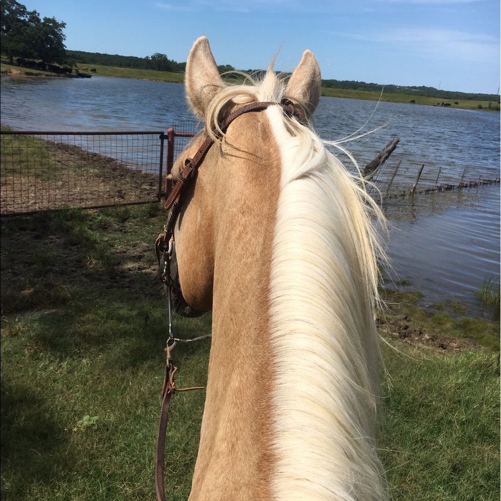 Meet your Posher, Sara