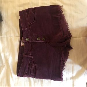 Roxy velvet shorts