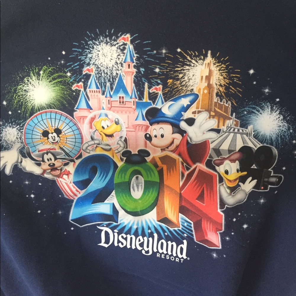 2014 Disneyland sweater