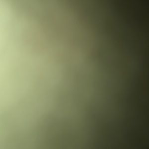 Meet your Posher, Jaxson