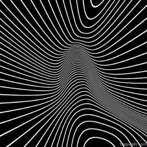 Meet your Posher, Cody