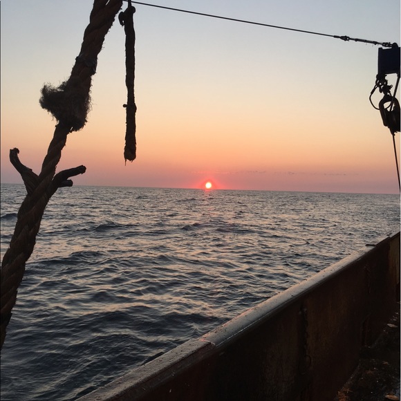 Meet your Posher, Roberto - Picture 1 of 1