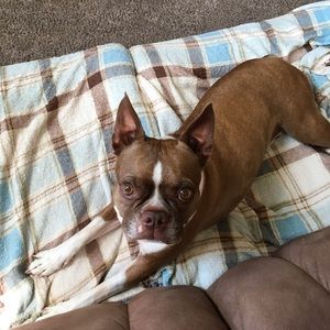 Meet your Posher, Jan