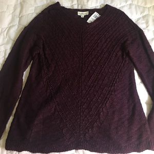 Could Chaser sweater